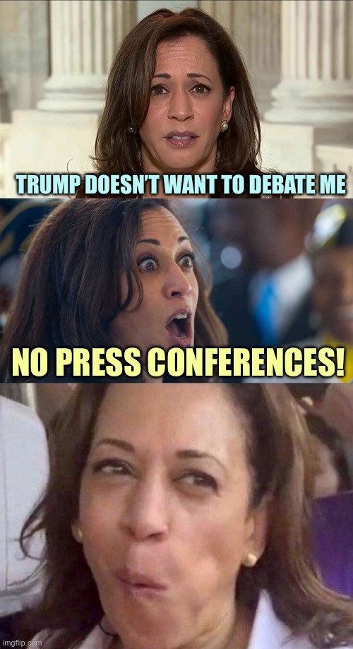 Mute Mamala | TRUMP DOESN’T WANT TO DEBATE ME; NO PRESS CONFERENCES! | image tagged in kamala harris,kamala harriss,memes | made w/ Imgflip meme maker