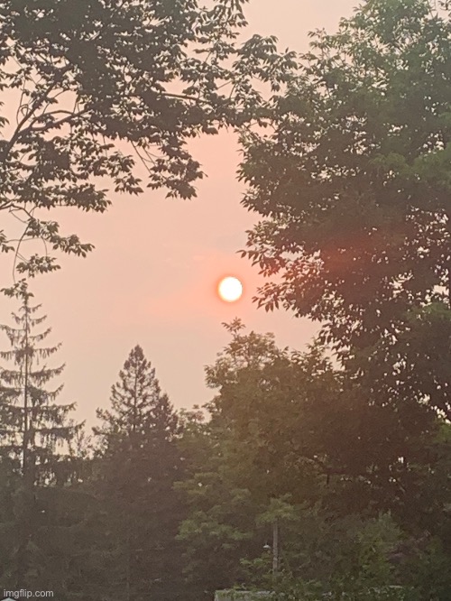 Bro why is the sun red .-. (I took this pic this morning) | made w/ Imgflip meme maker