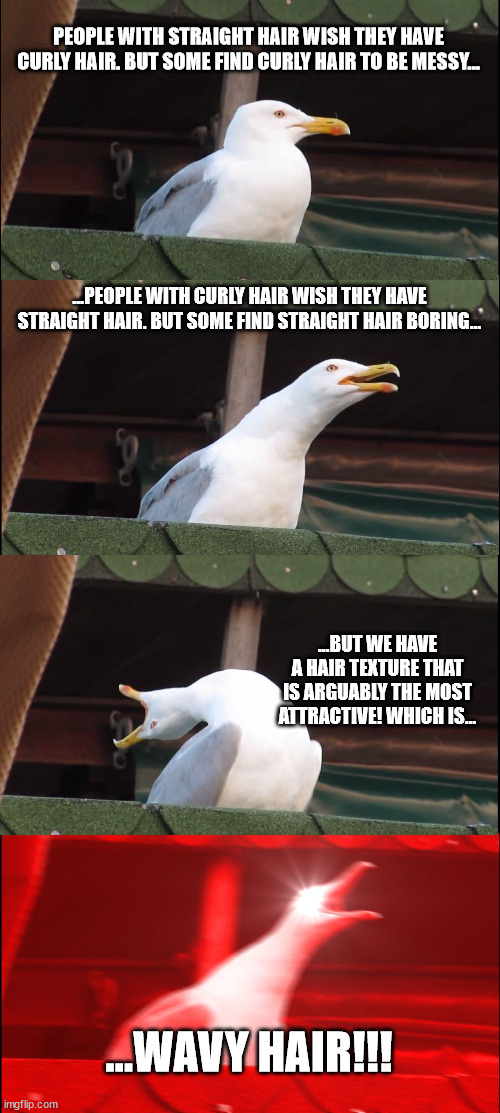 Wavy Hair is a Mix of Straight & Curly. It has the Beauty of Curly Hair & the Smoothness of Straight Hair!! | PEOPLE WITH STRAIGHT HAIR WISH THEY HAVE CURLY HAIR. BUT SOME FIND CURLY HAIR TO BE MESSY... ...PEOPLE WITH CURLY HAIR WISH THEY HAVE STRAIGHT HAIR. BUT SOME FIND STRAIGHT HAIR BORING... ...BUT WE HAVE A HAIR TEXTURE THAT IS ARGUABLY THE MOST ATTRACTIVE! WHICH IS... ...WAVY HAIR!!! | image tagged in memes,inhaling seagull,hair,straight,curly,hairstyle | made w/ Imgflip meme maker