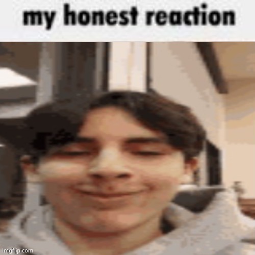 My honest reaction (sukuna) | image tagged in my honest reaction | made w/ Imgflip meme maker