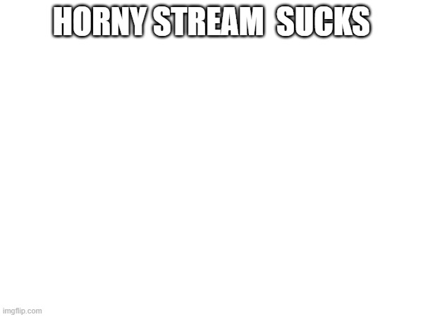 HORNY STREAM  SUCKS | image tagged in horny suxs | made w/ Imgflip meme maker