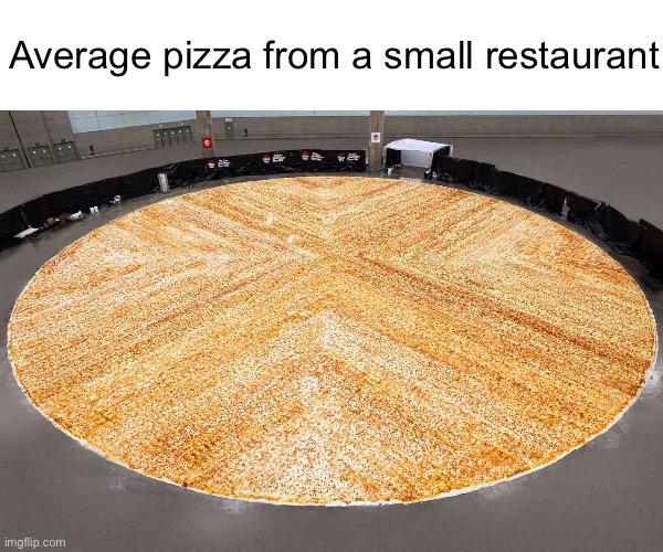 For only fifteen dollars!? | Average pizza from a small restaurant | image tagged in pizza | made w/ Imgflip meme maker