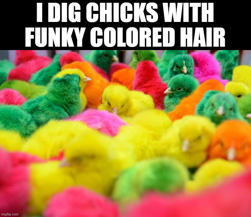 I DIG CHICKS WITH FUNKY COLORED HAIR | image tagged in chicks | made w/ Imgflip meme maker