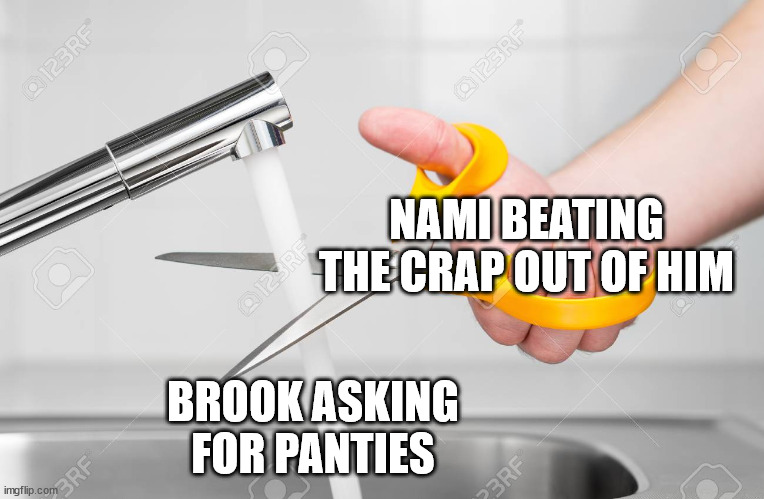 cutting water with scissors | NAMI BEATING THE CRAP OUT OF HIM; BROOK ASKING FOR PANTIES | image tagged in cutting water with scissors,memes,one piece | made w/ Imgflip meme maker