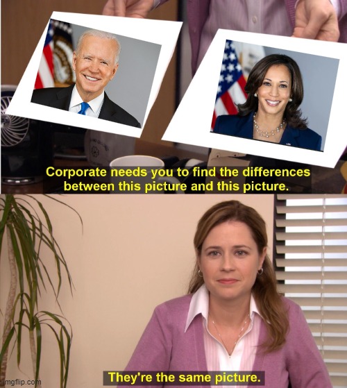 They're The Same Picture | image tagged in memes,they're the same picture | made w/ Imgflip meme maker