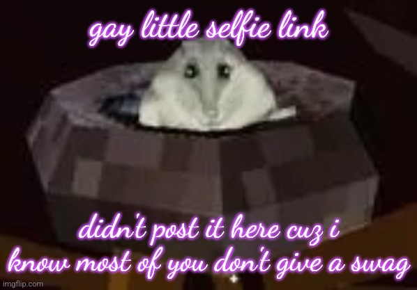 https://imgflip.com/i/90ek6p | gay little selfie link; didn't post it here cuz i know most of you don't give a swag | image tagged in flor | made w/ Imgflip meme maker