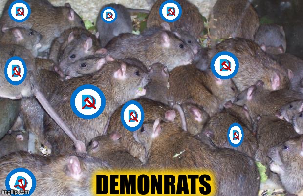 Rats | DEMONRATS | image tagged in rats | made w/ Imgflip meme maker