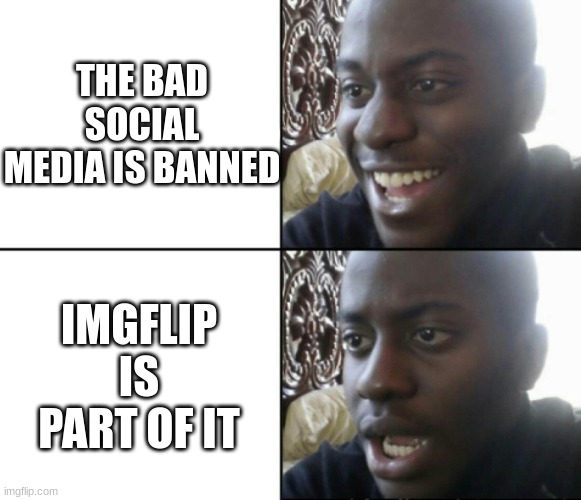 Happy / Shock | THE BAD SOCIAL MEDIA IS BANNED; IMGFLIP IS PART OF IT | image tagged in happy / shock | made w/ Imgflip meme maker