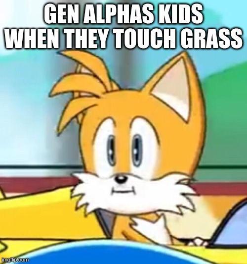 Tails hold up | GEN ALPHAS KIDS WHEN THEY TOUCH GRASS | image tagged in tails hold up | made w/ Imgflip meme maker