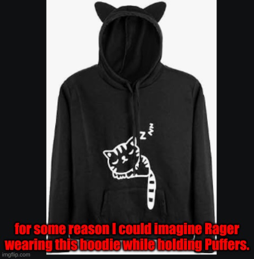 for some reason I could imagine Rager wearing this hoodie while holding Puffers. | made w/ Imgflip meme maker
