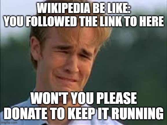 Whiners | WIKIPEDIA BE LIKE:
YOU FOLLOWED THE LINK TO HERE; WON'T YOU PLEASE DONATE TO KEEP IT RUNNING | image tagged in whiners | made w/ Imgflip meme maker