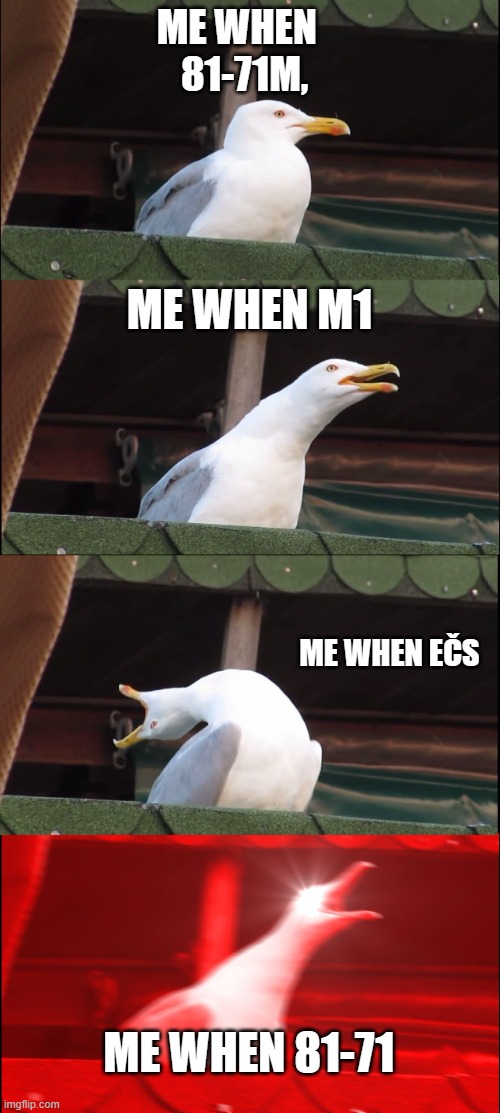 Inhaling Seagull | ME WHEN  
81-71M, ME WHEN M1; ME WHEN EČS; ME WHEN 81-71 | image tagged in memes,inhaling seagull | made w/ Imgflip meme maker
