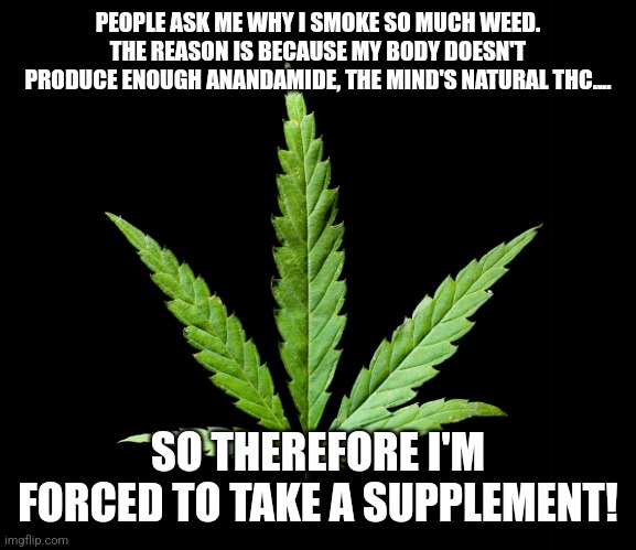 Cannabis/Marijuana leaf | PEOPLE ASK ME WHY I SMOKE SO MUCH WEED. THE REASON IS BECAUSE MY BODY DOESN'T PRODUCE ENOUGH ANANDAMIDE, THE MIND'S NATURAL THC.... SO THEREFORE I'M FORCED TO TAKE A SUPPLEMENT! | image tagged in cannabis/marijuana leaf | made w/ Imgflip meme maker