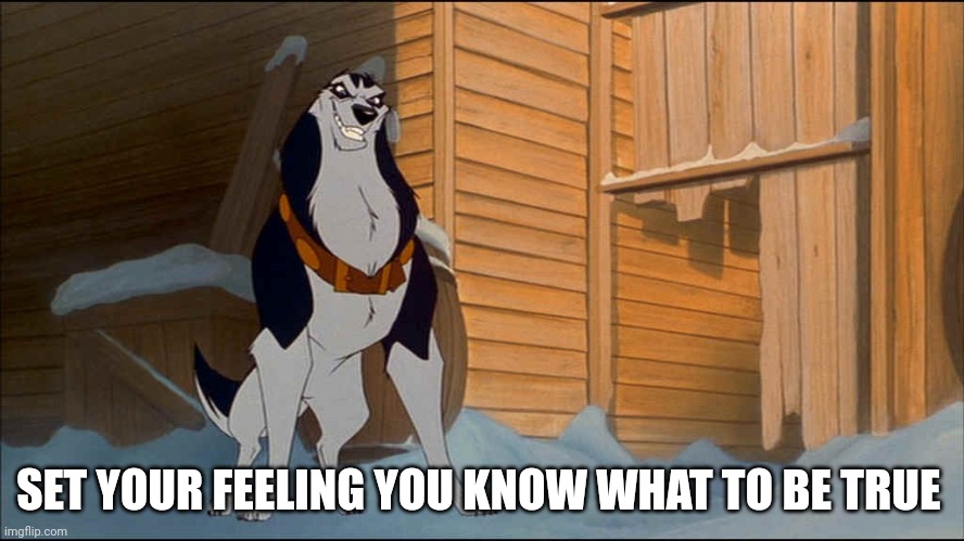 Set Your Feelings You What To be True | SET YOUR FEELING YOU KNOW WHAT TO BE TRUE | image tagged in steele,star wars,balto | made w/ Imgflip meme maker