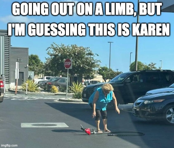 Karen pumps gas | I'M GUESSING THIS IS KAREN; GOING OUT ON A LIMB, BUT | image tagged in gas nozzle karen | made w/ Imgflip meme maker