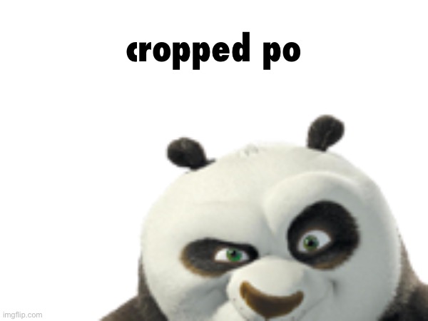 cropped po Blank Meme Template