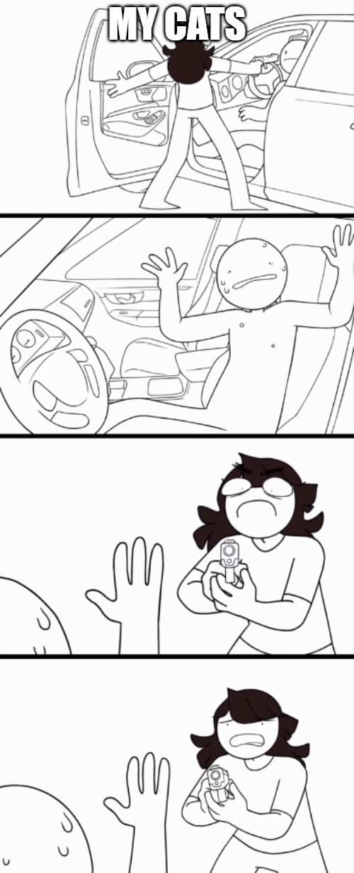 Jaiden the robber Blank Meme Template