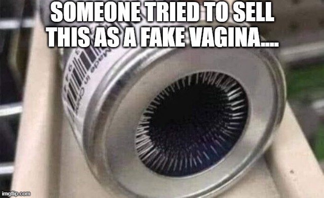 No Thank You | SOMEONE TRIED TO SELL THIS AS A FAKE VAGINA.... | image tagged in sex jokes | made w/ Imgflip meme maker