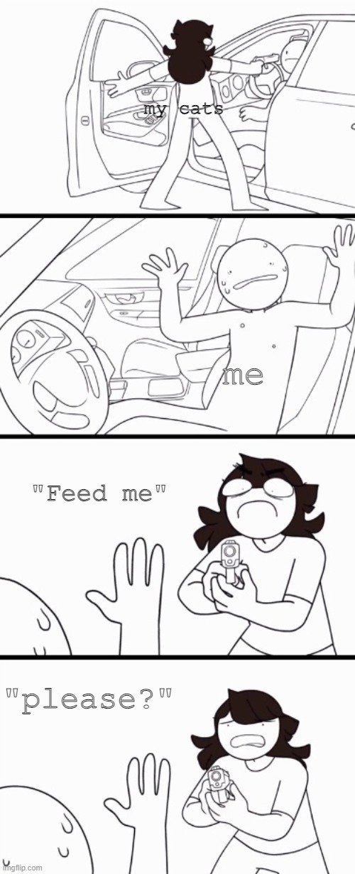 Jaiden the robber | my cats; me; "Feed me"; "please?" | image tagged in jaiden the robber,cats,jaiden animations,feed me | made w/ Imgflip meme maker