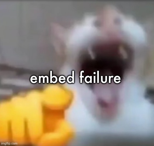 Cat pointing and laughing | embed failure | image tagged in cat pointing and laughing | made w/ Imgflip meme maker