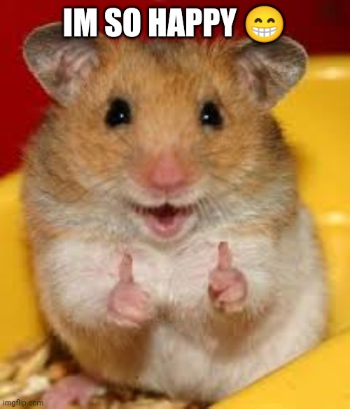 Im so happy | IM SO HAPPY 😁 | image tagged in thumbs up hamster | made w/ Imgflip meme maker