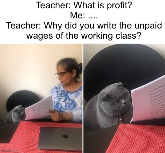 Woman showing paper to cat | Teacher: What is profit?
Me: ....
Teacher: Why did you write the unpaid wages of the working class? | image tagged in woman showing paper to cat | made w/ Imgflip meme maker