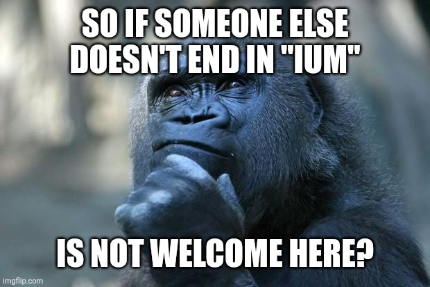 radium note: yes grrr >:( | SO IF SOMEONE ELSE DOESN'T END IN "IUM"; IS NOT WELCOME HERE? | image tagged in deep thoughts | made w/ Imgflip meme maker