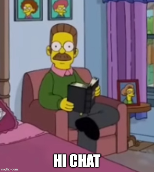 ned flanders stare | HI CHAT | image tagged in ned flanders stare | made w/ Imgflip meme maker