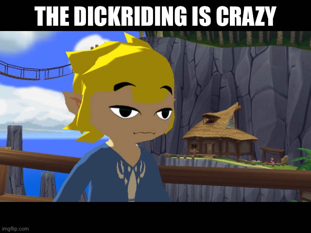 High Toon Link | THE DICKRIDING IS CRAZY | image tagged in high toon link | made w/ Imgflip meme maker