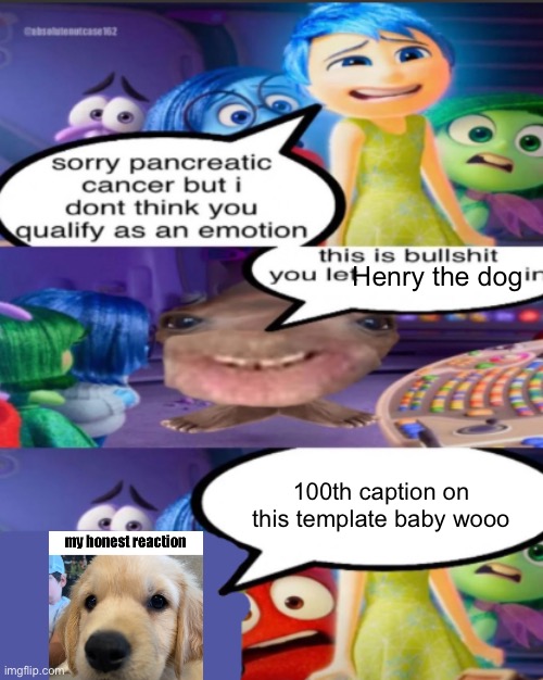 sorry pancreatic cancer but I don’t think you qualify as an emot | Henry the dog; 100th caption on this template baby wooo | image tagged in sorry pancreatic cancer but i don t think you qualify as an emot | made w/ Imgflip meme maker