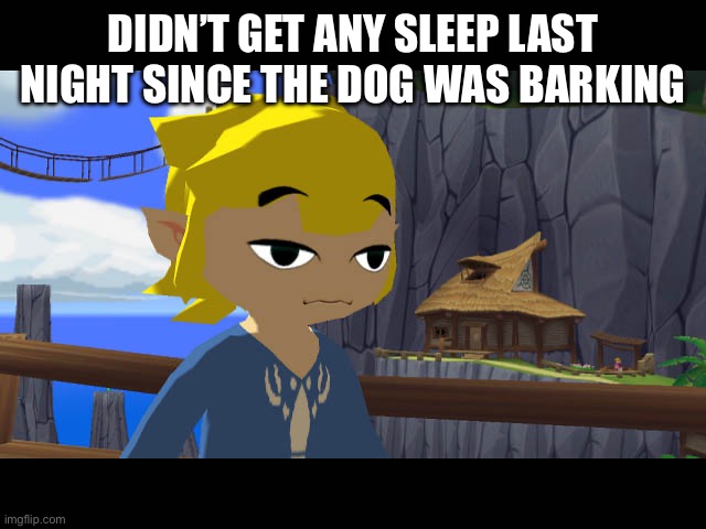 High Toon Link | DIDN’T GET ANY SLEEP LAST NIGHT SINCE THE DOG WAS BARKING | image tagged in high toon link | made w/ Imgflip meme maker