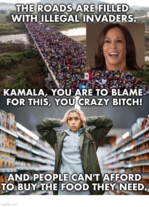 KAMALA HARRIS IS TO BLAME FOR THIS CATASTROPHE! | THE ROADS ARE FILLED 
WITH ILLEGAL INVADERS. KAMALA, YOU ARE TO BLAME 
FOR THIS, YOU CRAZY BITCH! AND PEOPLE CAN'T AFFORD
TO BUY THE FOOD THEY NEED. | image tagged in kamala harris,democrat party,communists,traitors,marxism,illegal aliens | made w/ Imgflip meme maker