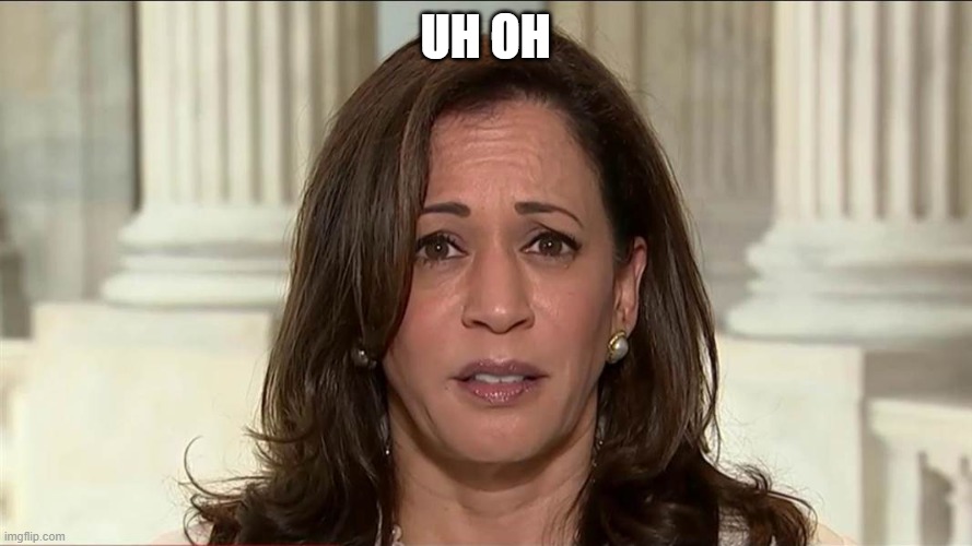 kamala harris | UH OH | image tagged in kamala harris | made w/ Imgflip meme maker