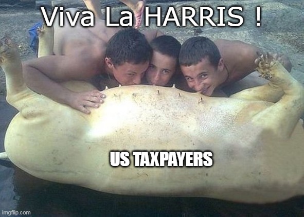 Viva La HARRIS ! US TAXPAYERS | made w/ Imgflip meme maker