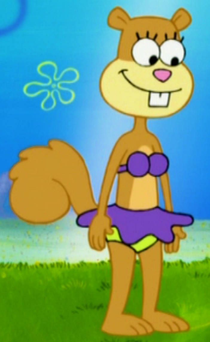 High Quality Sandy Cheeks Blank Meme Template