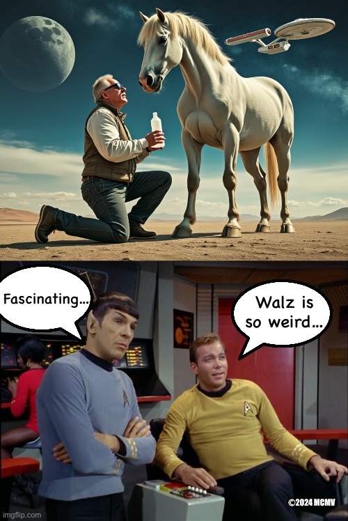 Walz is weird, Spock… | Walz is so weird…; Fascinating…; Ⓒ2024 MCMV | image tagged in kirk and spock | made w/ Imgflip meme maker