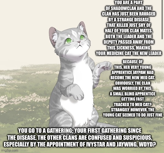 Cat OCs please, and no one word responses. Have fun! | YOU ARE A PART OF SHADOWCLAN AND THE CLAN HAS JUST BEEN RAVAGED BY A STRANGE DISEASE THAT KILLED JUST SHY OF HALF OF YOUR CLAN MATES. BOTH THE LEADER AND THE DEPUTY PASSED AWAY FROM THIS SICKNESS, MAKING YOUR MEDICINE CAT THE NEW LEADER; BECAUSE OF THIS, HER VERY YOUNG APPRENTICE JAYPAW HAD BECOME THE NEW MED CAT. OBVIOUSLY, THE CLAN WAS WORRIED BY THIS; A SMALL BLIND APPRENTICE GETTING FAST TRACKED TO MED CAT? STRANGELY HOWEVER, THE YOUNG CAT SEEMED TO DO JUST FINE; YOU GO TO A GATHERING; YOUR FIRST GATHERING SINCE THE DISEASE. THE OTHER CLANS ARE CONFUSED AND SUSPICIOUS, ESPECIALLY BY THE APPOINTMENT OF IVYSTAR AND JAYWING. WDYD? | made w/ Imgflip meme maker