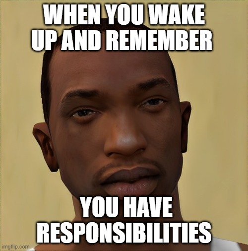responsibilities | WHEN YOU WAKE UP AND REMEMBER; YOU HAVE RESPONSIBILITIES | image tagged in memes | made w/ Imgflip meme maker