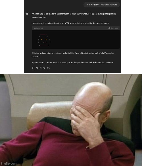 Captain Picard Facepalm Meme | image tagged in memes,captain picard facepalm | made w/ Imgflip meme maker