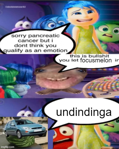 sorry pancreatic cancer but I don’t think you qualify as an emot | focusmelon; undindinga | image tagged in sorry pancreatic cancer but i don t think you qualify as an emot | made w/ Imgflip meme maker