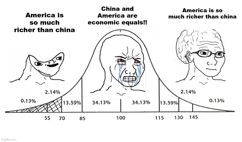 uh oh, controversial | China and America are economic equals!! America is so much richer than china; America is so much richer than china | image tagged in wojak iq,usa,china | made w/ Imgflip meme maker