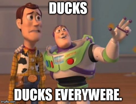 X, X Everywhere Meme | DUCKS DUCKS EVERYWERE. | image tagged in memes,x x everywhere | made w/ Imgflip meme maker