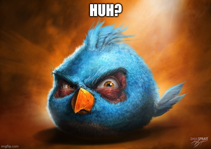 angry birds blue | HUH? | image tagged in angry birds blue | made w/ Imgflip meme maker