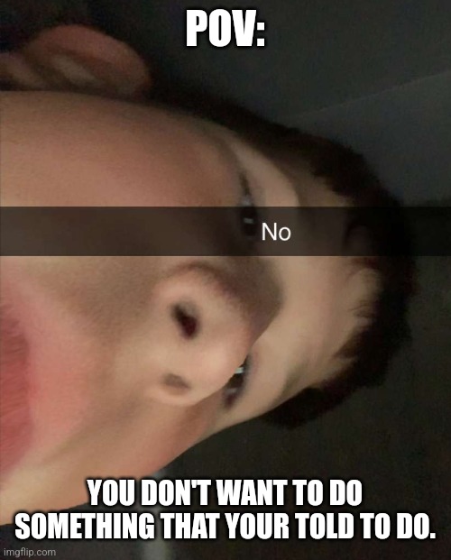 Just No | POV:; YOU DON'T WANT TO DO SOMETHING THAT YOUR TOLD TO DO. | image tagged in just no | made w/ Imgflip meme maker