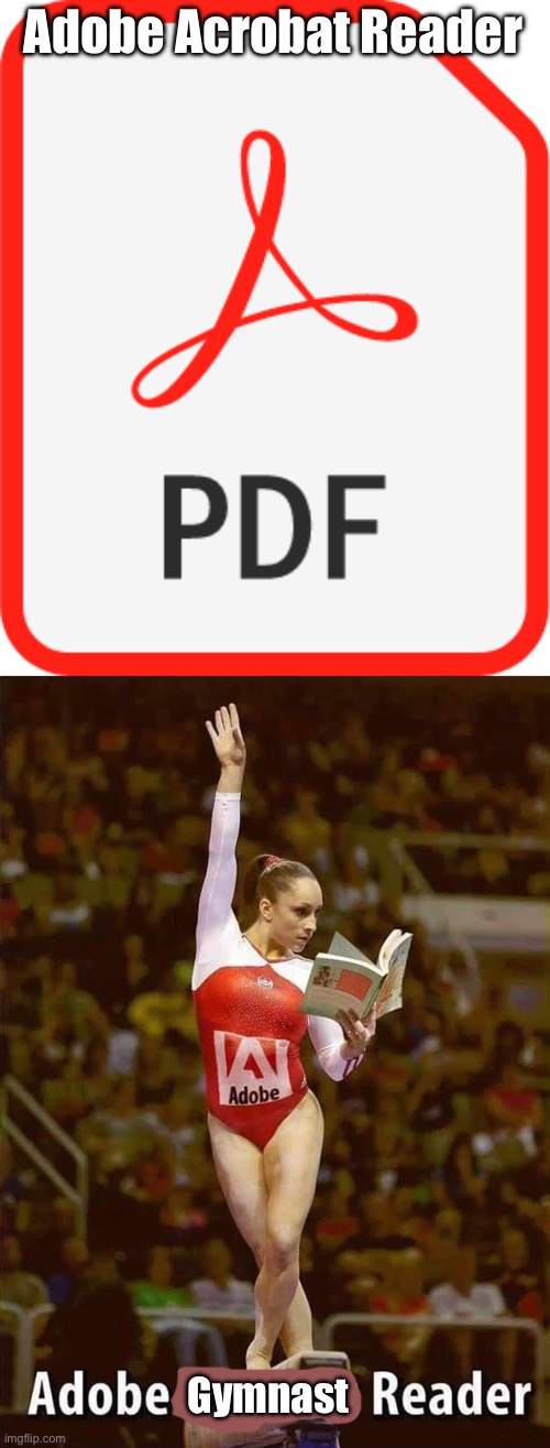 Adobe Acrobat Reader; Gymnast | image tagged in pdf icon,adobe,reader,acrobat,gymnastics | made w/ Imgflip meme maker