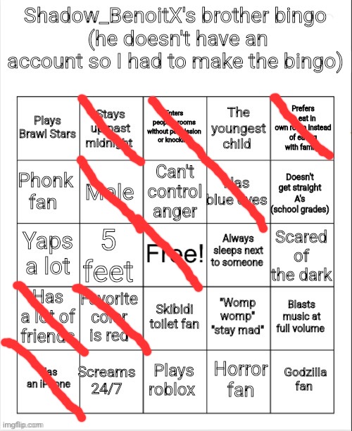 image tagged in shadow_benoitx's brother bingo | made w/ Imgflip meme maker