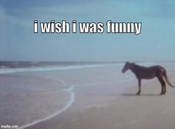 hdjwsk | i wish i was funny | image tagged in horse staring at ocean | made w/ Imgflip meme maker