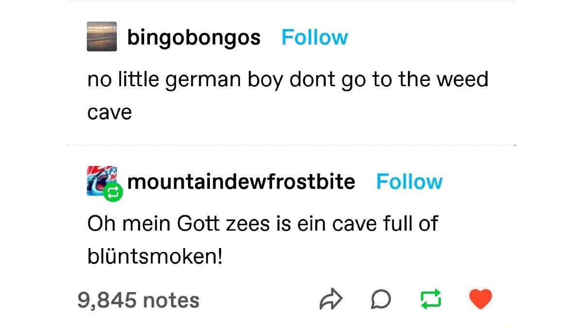 no little german boy dont go to the weed cave Blank Meme Template