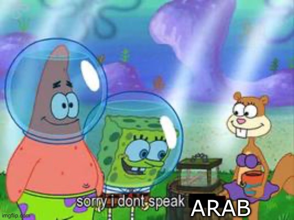 Sorry I don't speak ____ | ARAB | image tagged in sorry i don't speak ____ | made w/ Imgflip meme maker