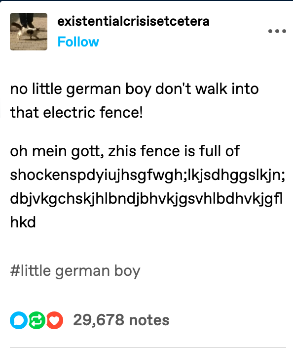 no little german boy dont walk into that electric fence! Blank Meme Template